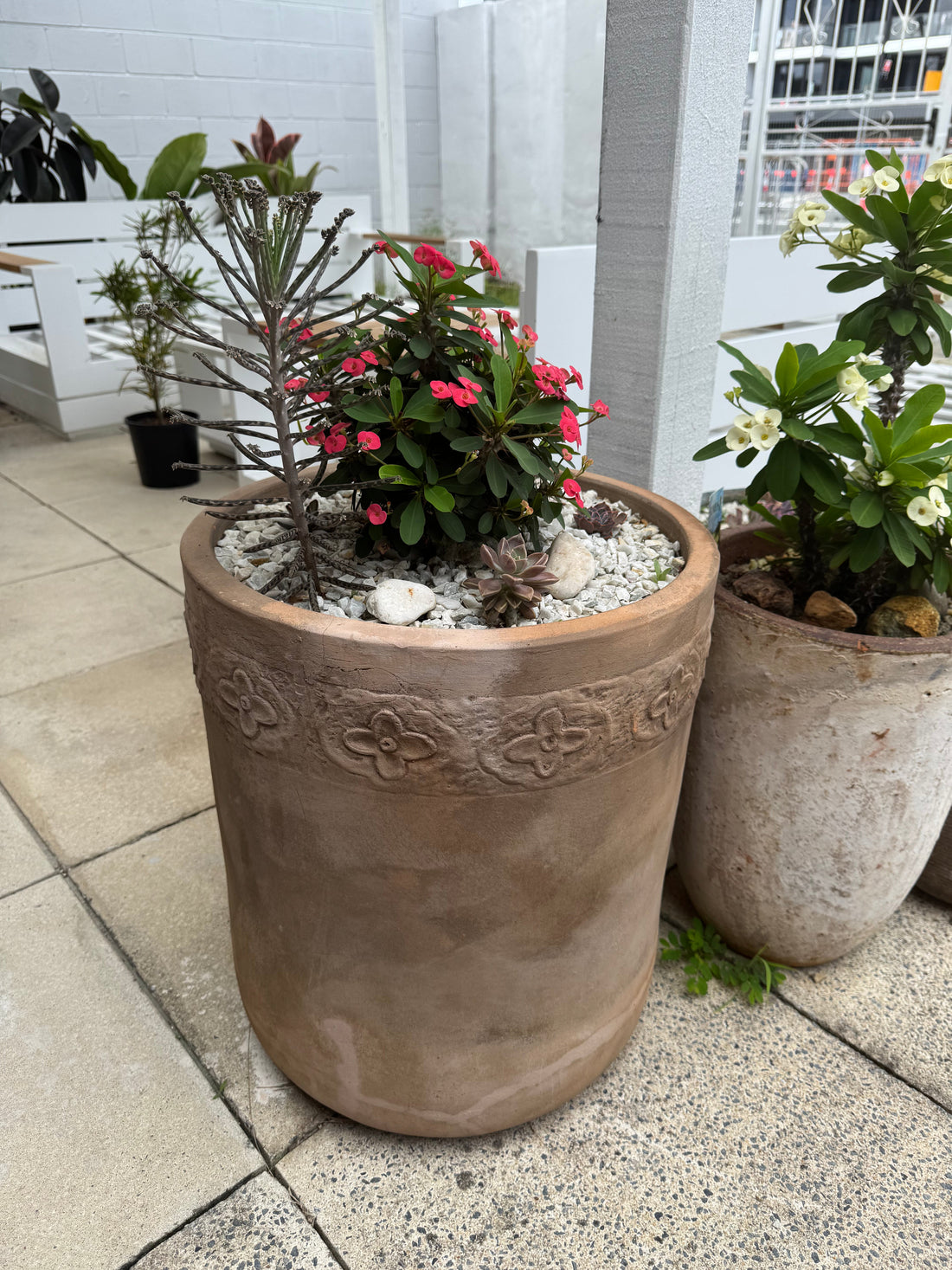 Why Terracotta Garden Pots Are a Gardener's Best Friend