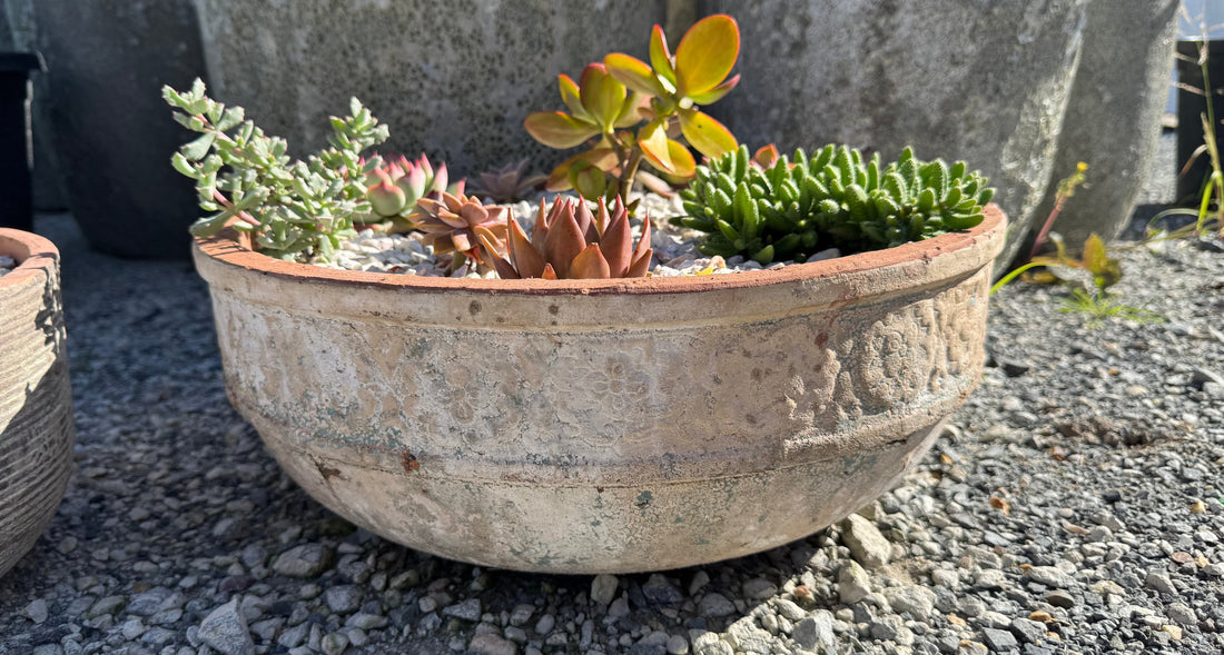 Premium high quality succulent garden bowl with succulents arranged in a beautiful pattern in a floral succulent bowl made from Vietnamese clay with an ancient look and warn patina.