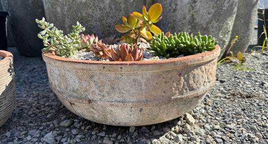 Premium high quality succulent garden bowl with succulents arranged in a beautiful pattern in a floral succulent bowl made from Vietnamese clay with an ancient look and warn patina.