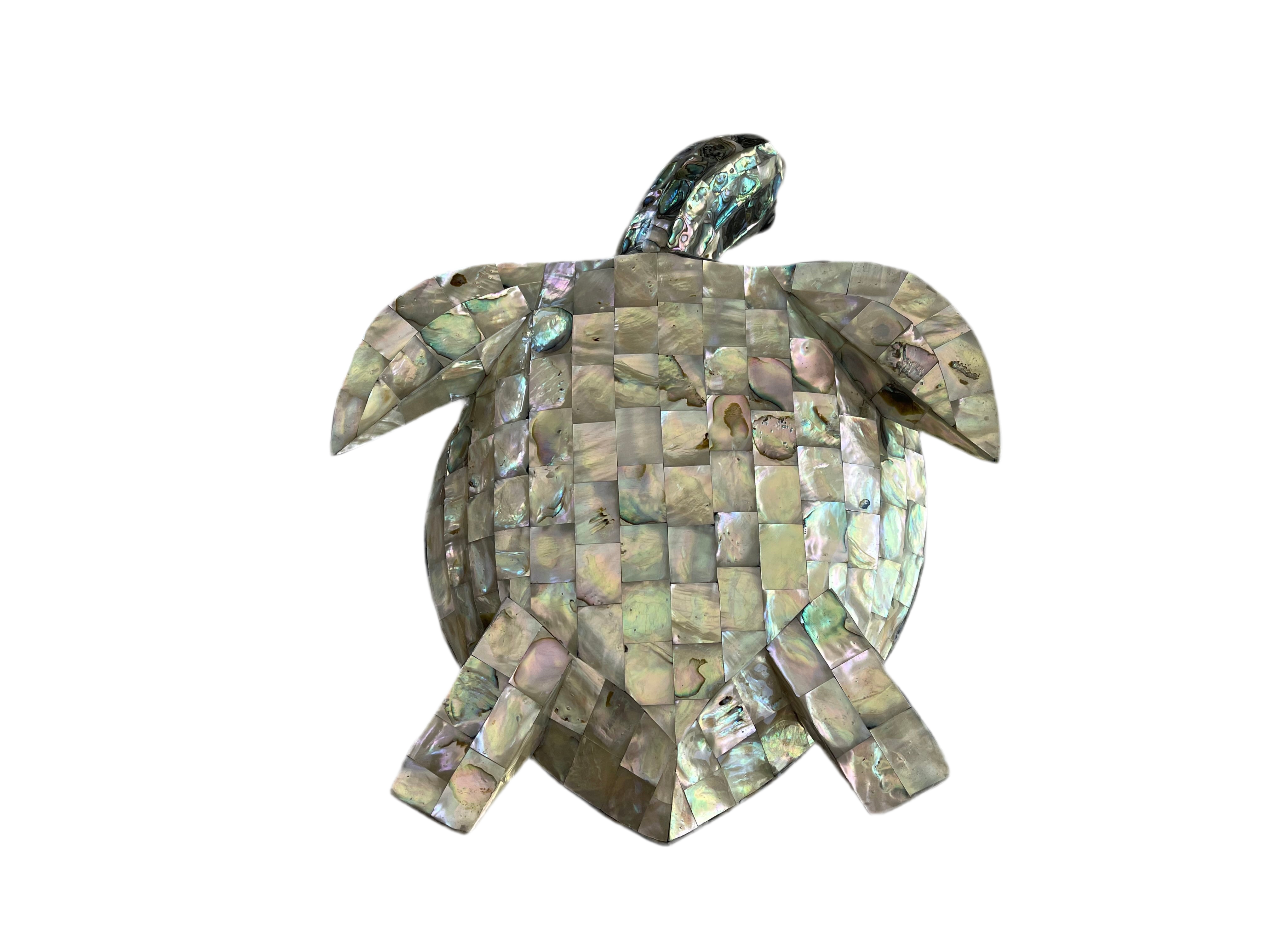 Mexican Abalone Shell Turtle Decore