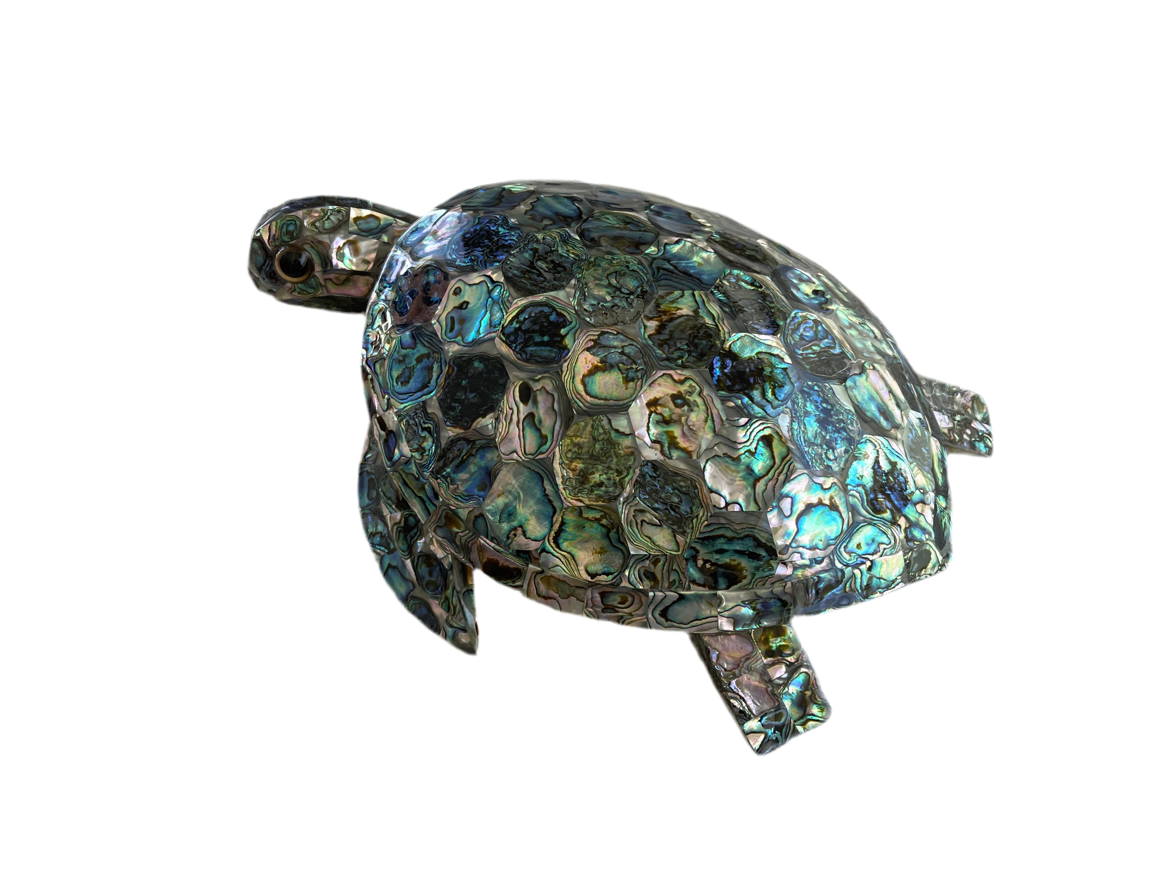 Mexican Abalone Shell Turtle Decore