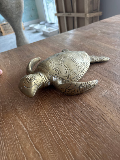 Brass Sea Turtle