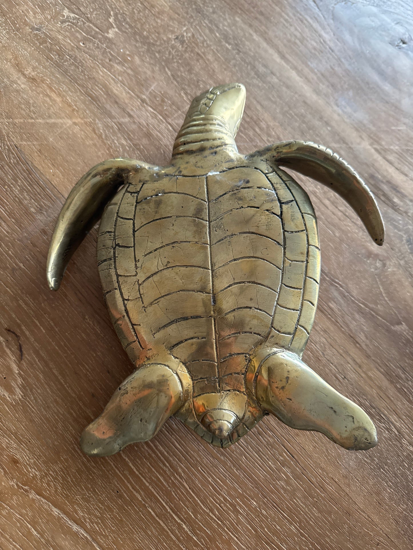 Brass Sea Turtle