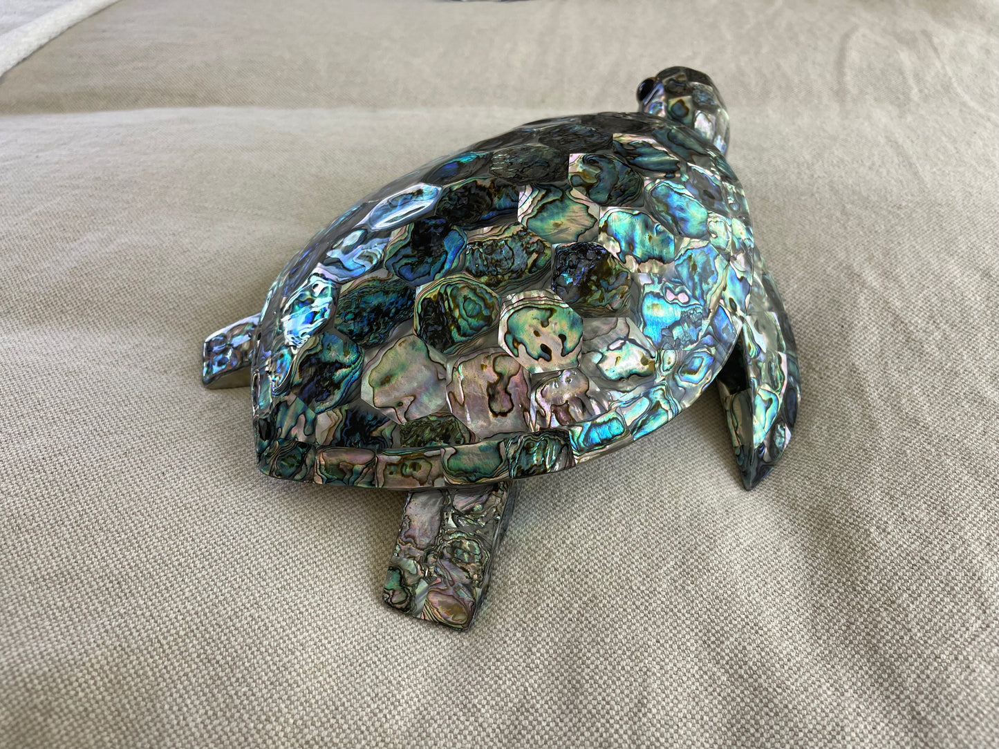 Mexican Abalone Shell Turtle Decore