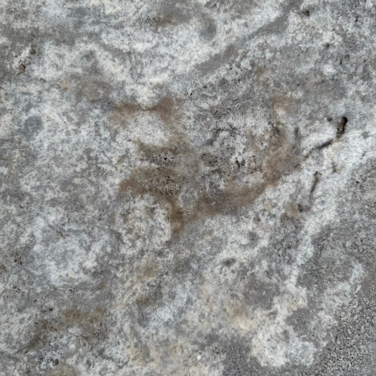 premium high quality Silver Travertine Coping perfect for laying a pool edge or on building steps