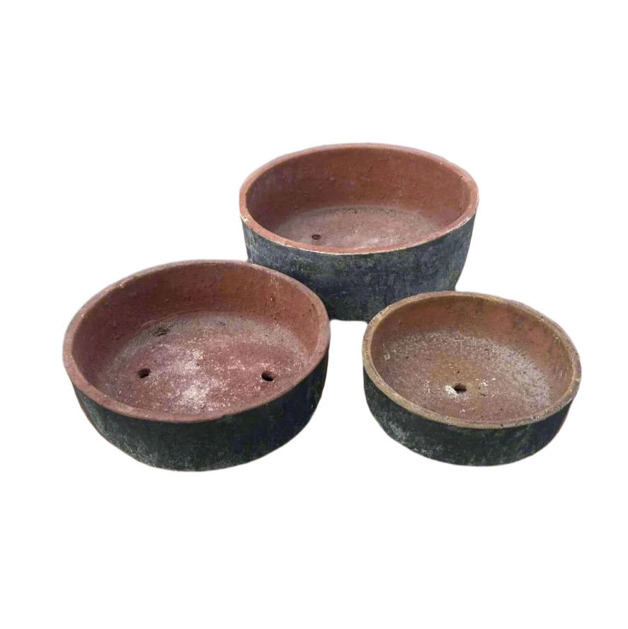 Black Succulent Bowls S3