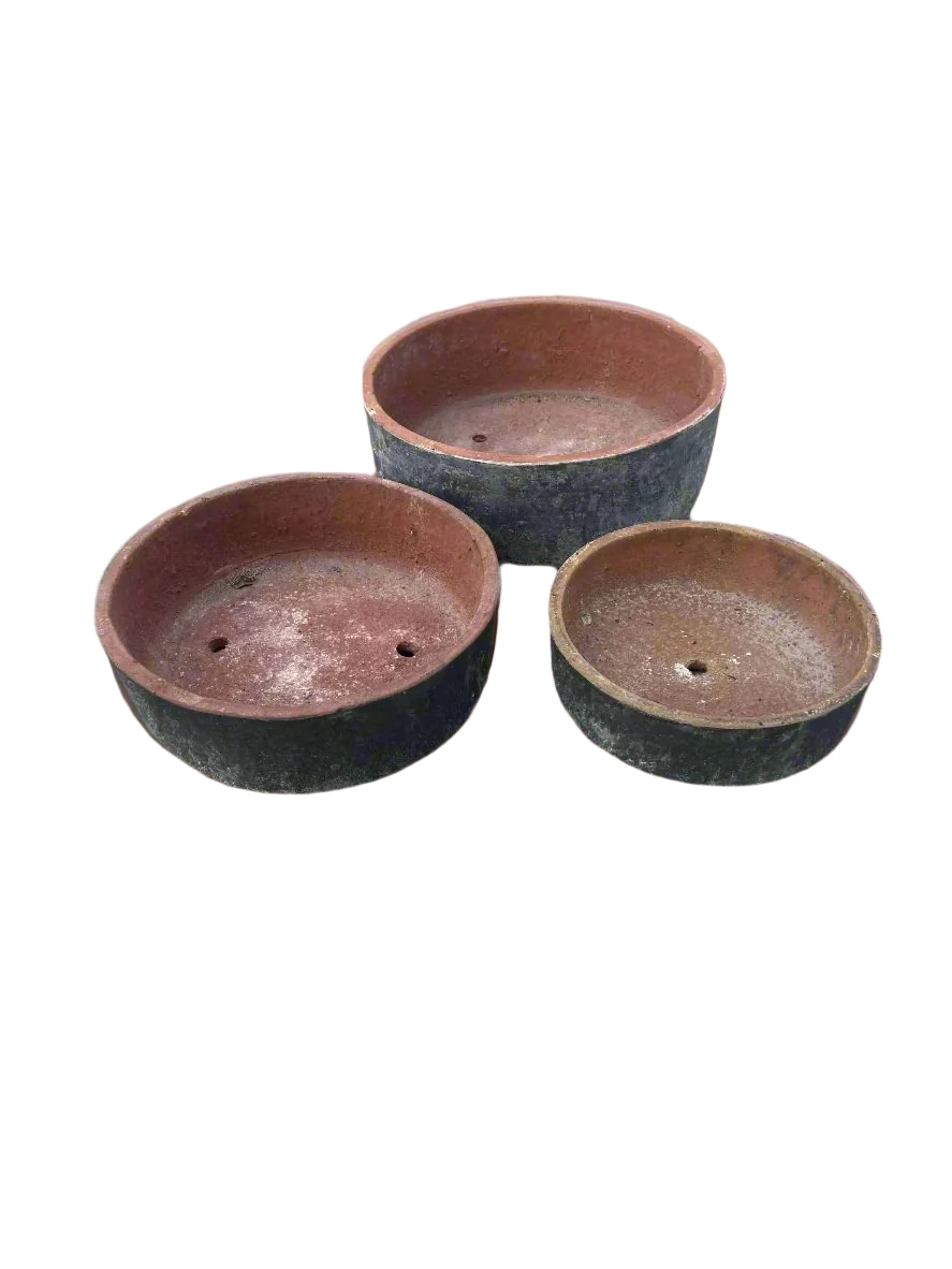 Black Succulent Bowls S3