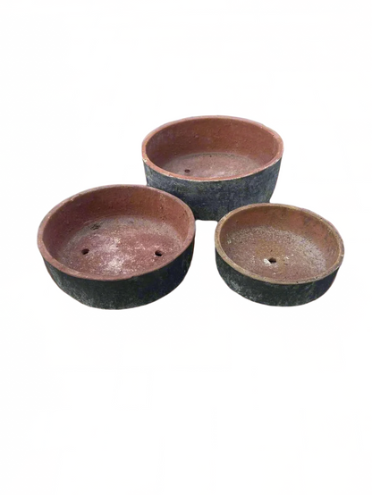 Black Succulent Bowls S3