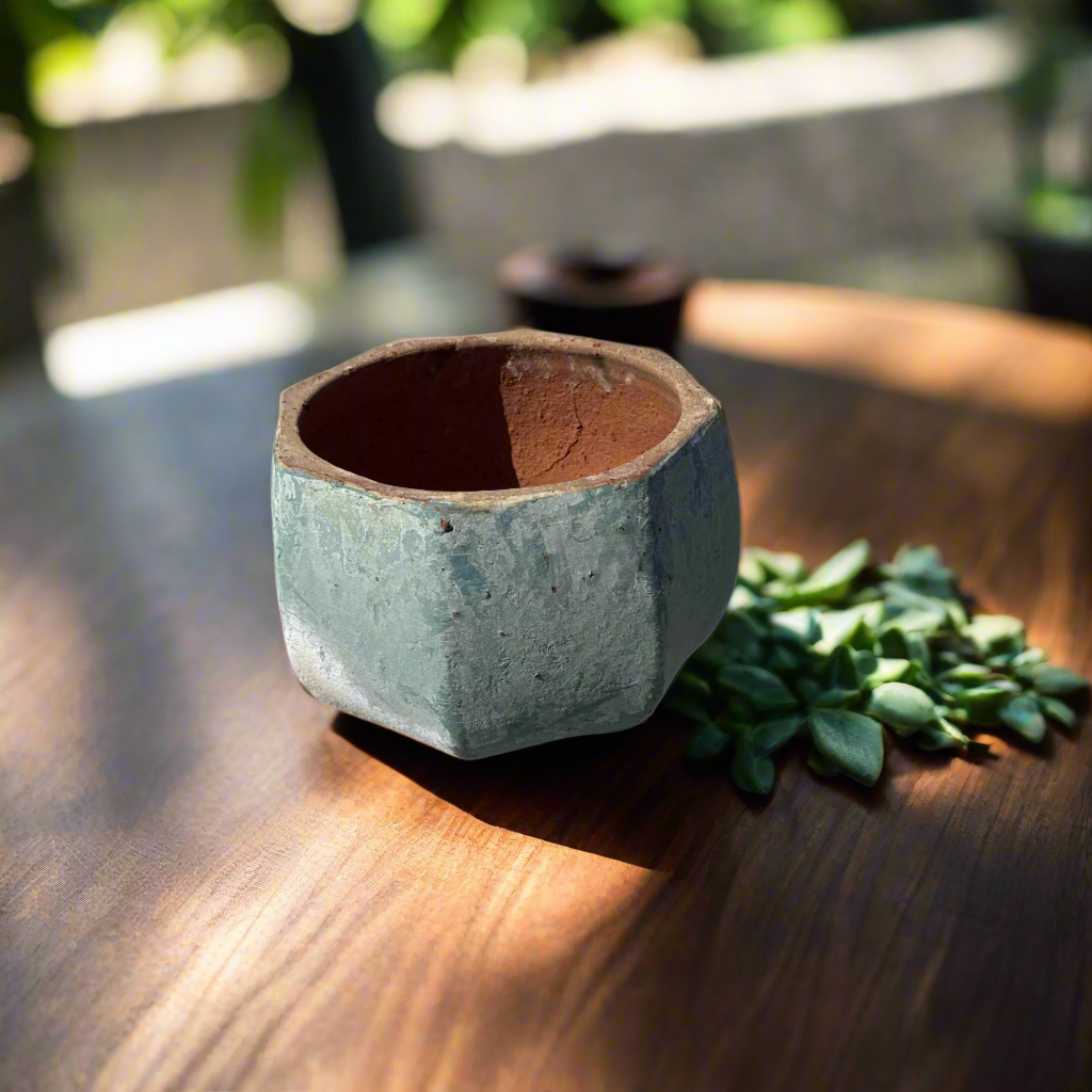 Blue_Pumpkin_Bowl_garden_pot on wallnut table