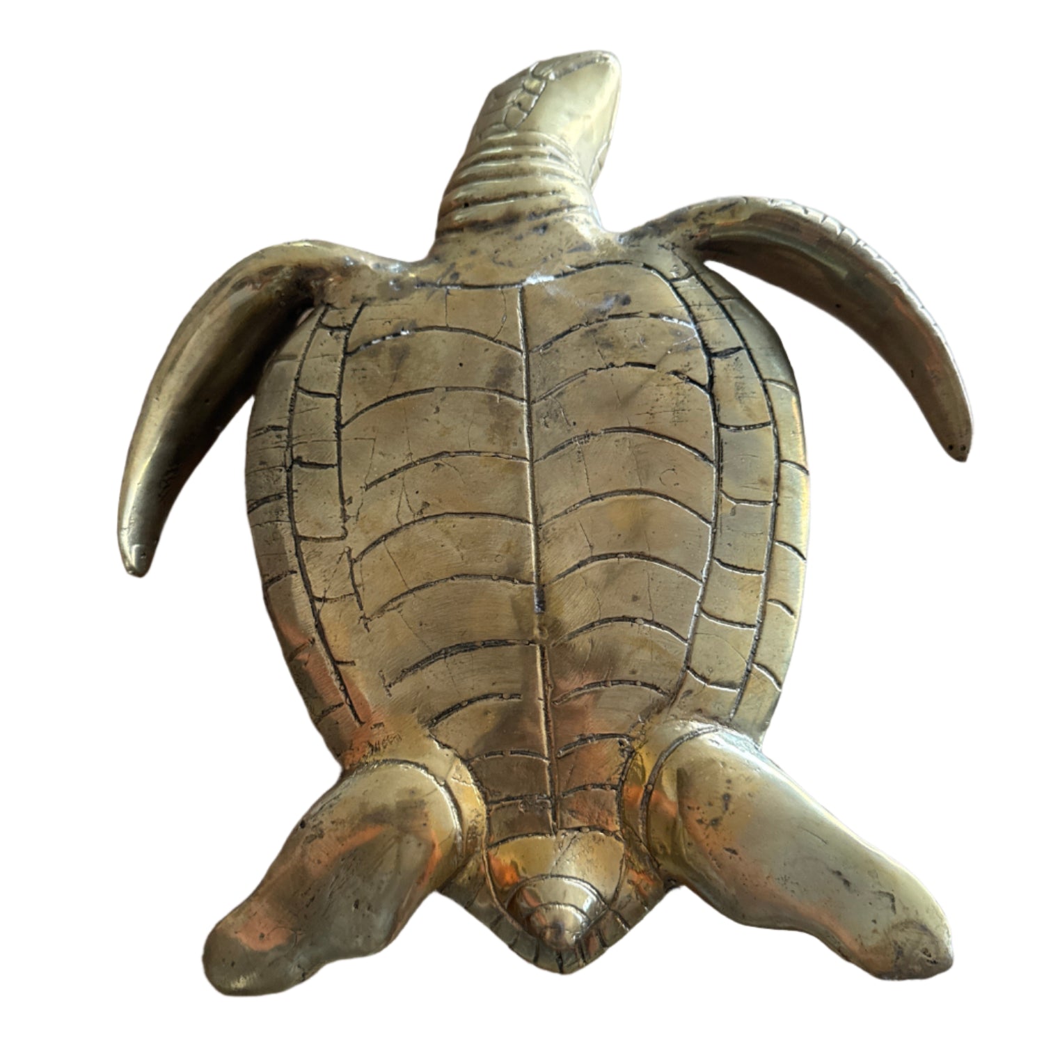 Small Brass Turtle Underneath belly