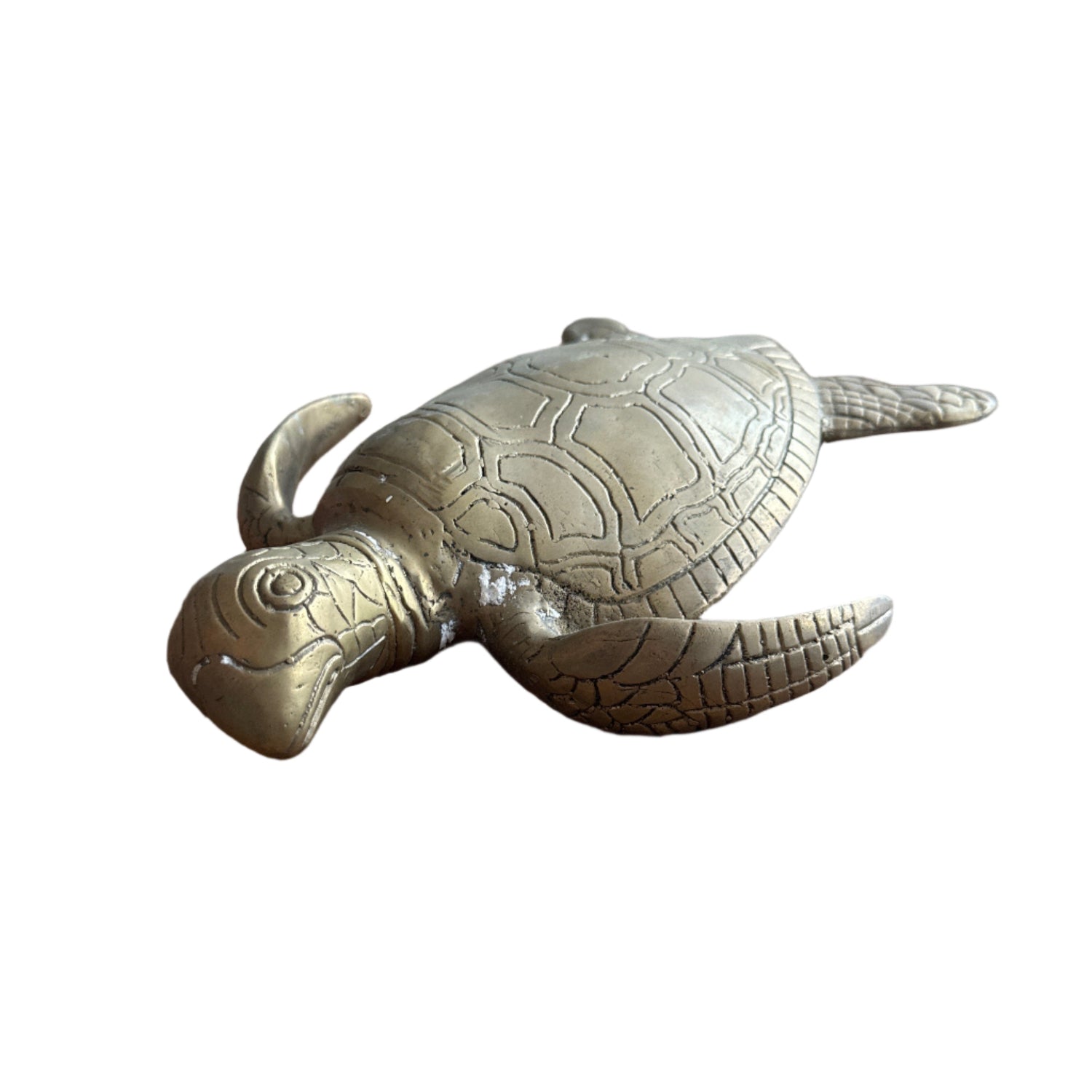 Small Brass Turtle front