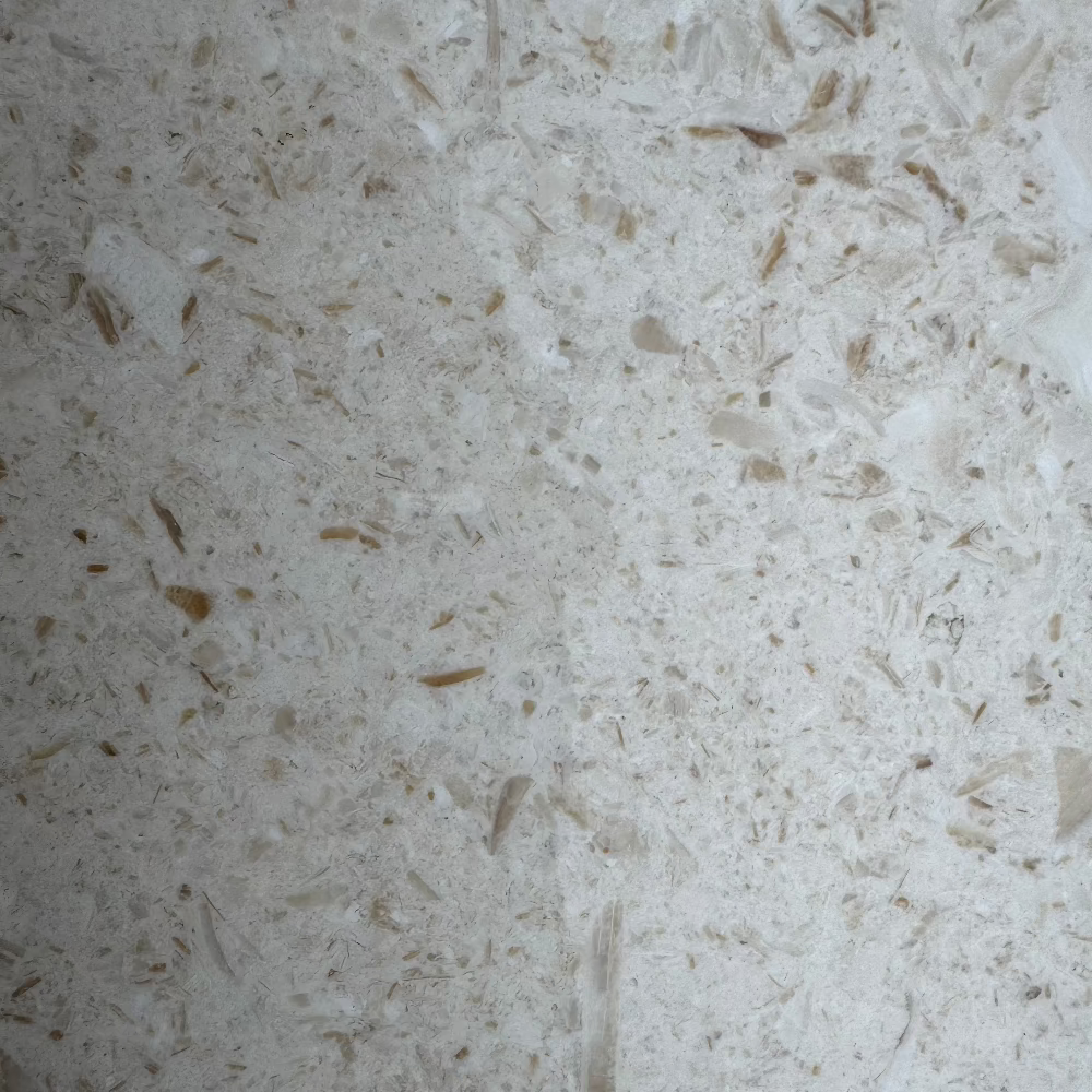 premium high quality Turkish Shell Stone Limestone Tiles great for balcony, patio, pools and other exterior & interior spaces.