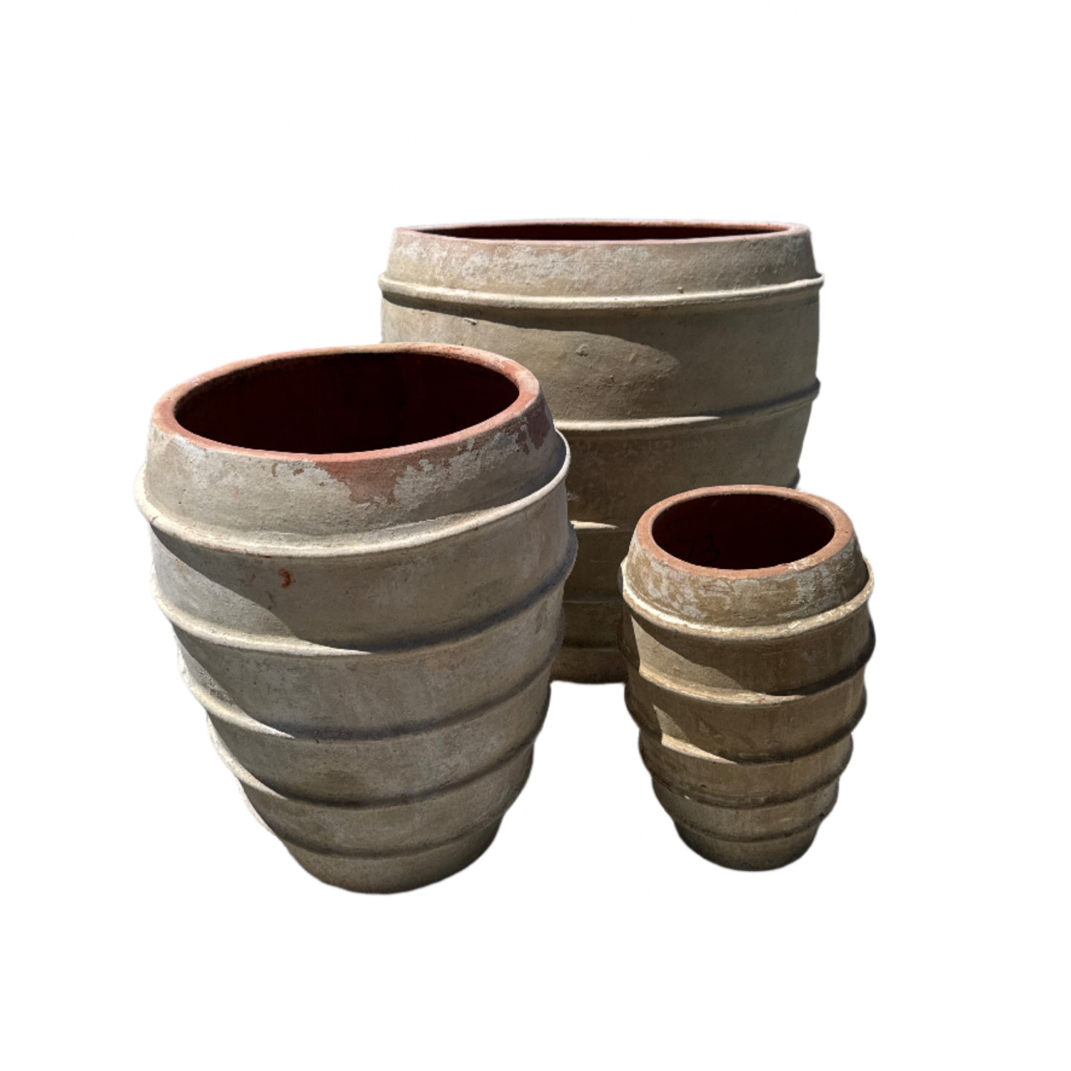 XL Five Band Tree Planters S3