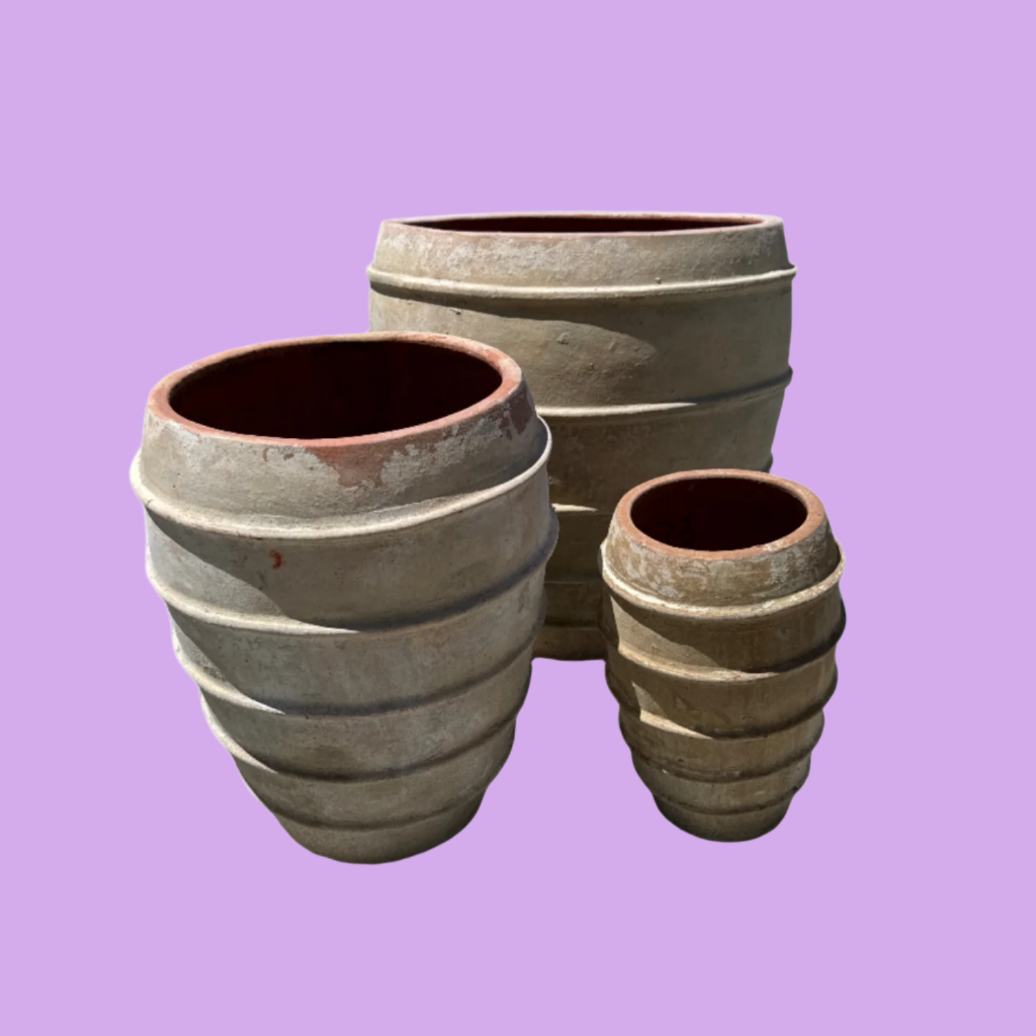 XL Five Band Tree Planters S3