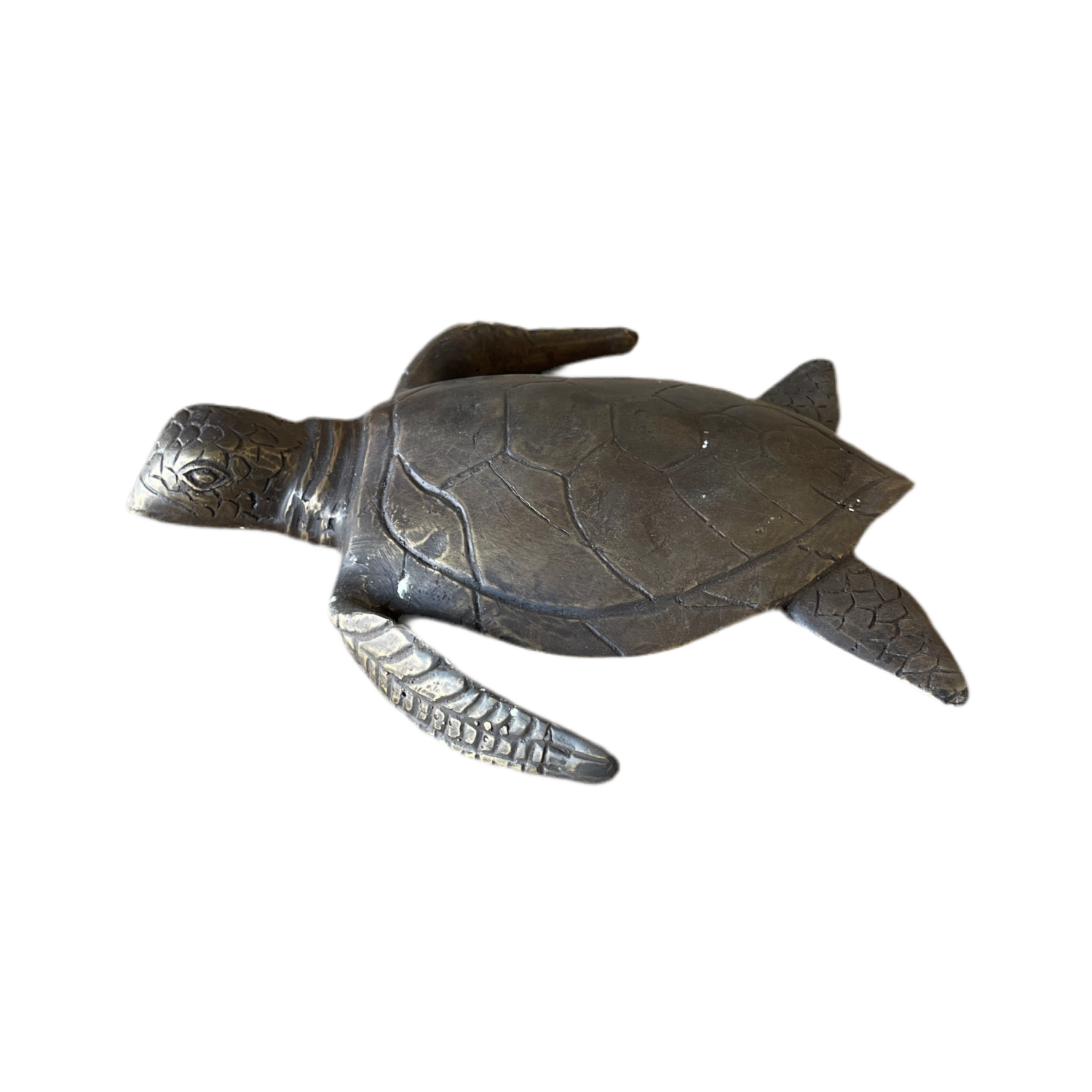 left side view of small brass sea turtle model great for bookshelf, tabletop or bench display