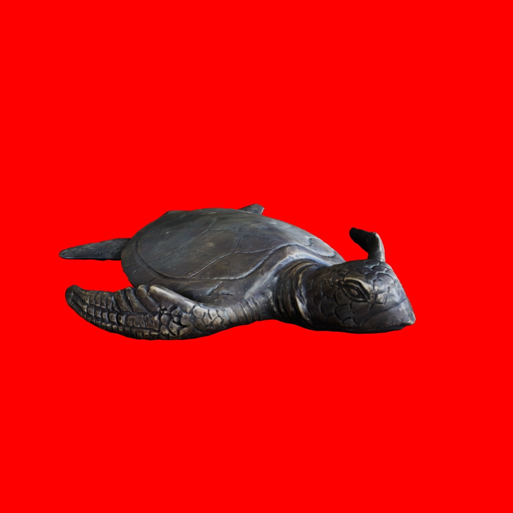 3D view of small brass sea turtle model great for bookshelf, tabletop or bench display