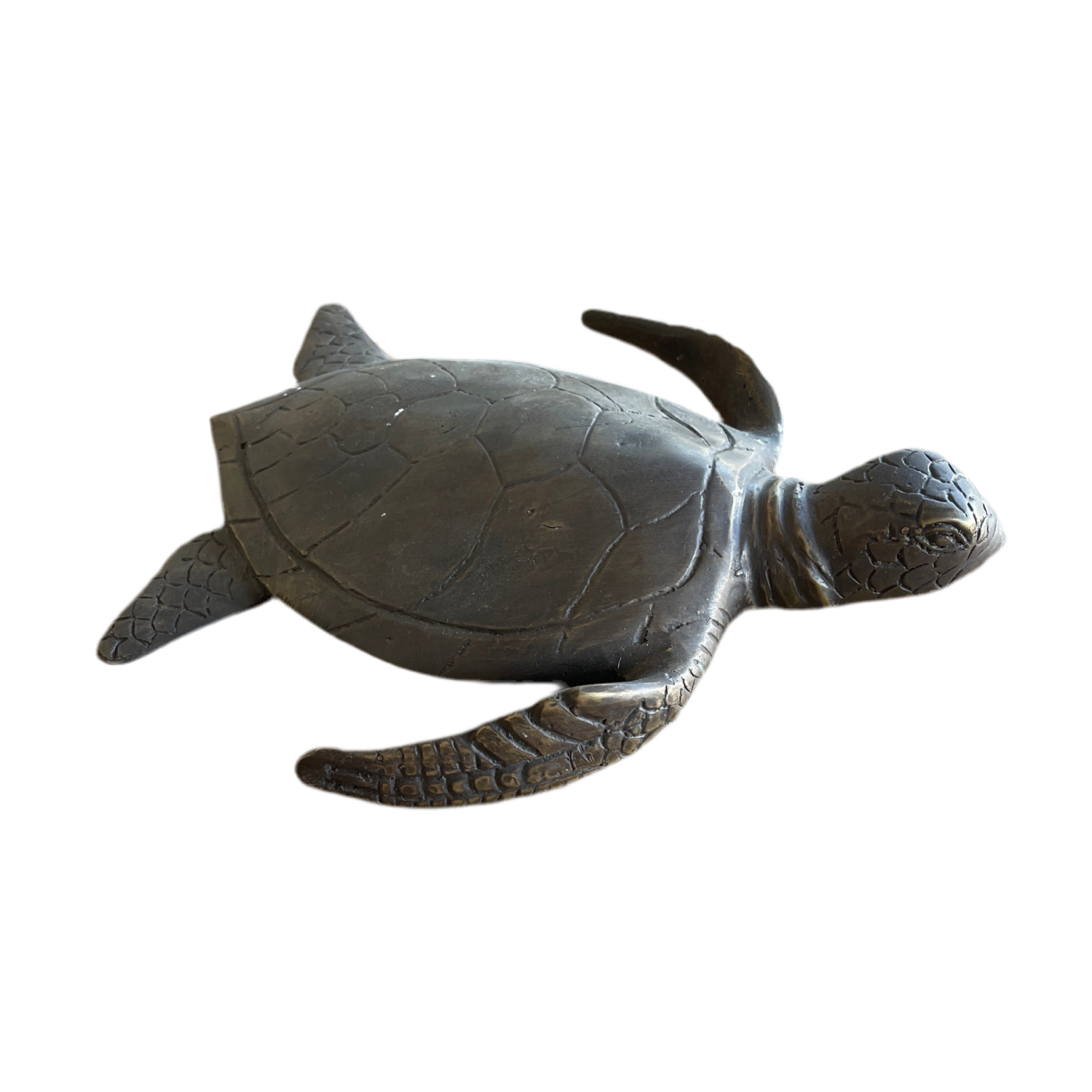 side view of small brass sea turtle model great for bookshelf, tabletop or bench display
