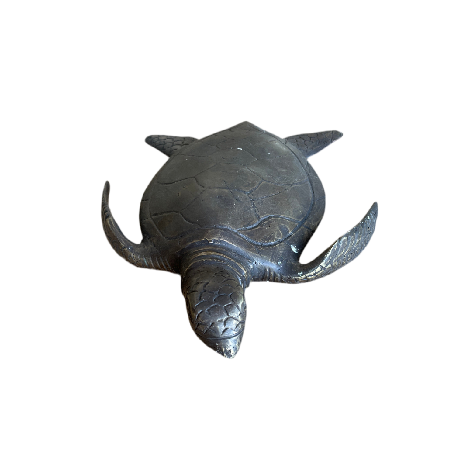 small brass sea turtle model great for bookshelf, tabletop or bench display