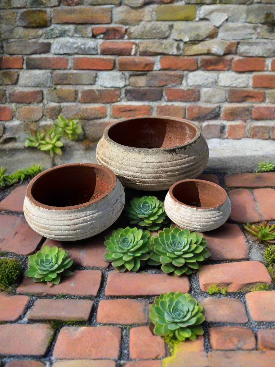 vietnamese succulent ceramic garden bowls in three different sizes