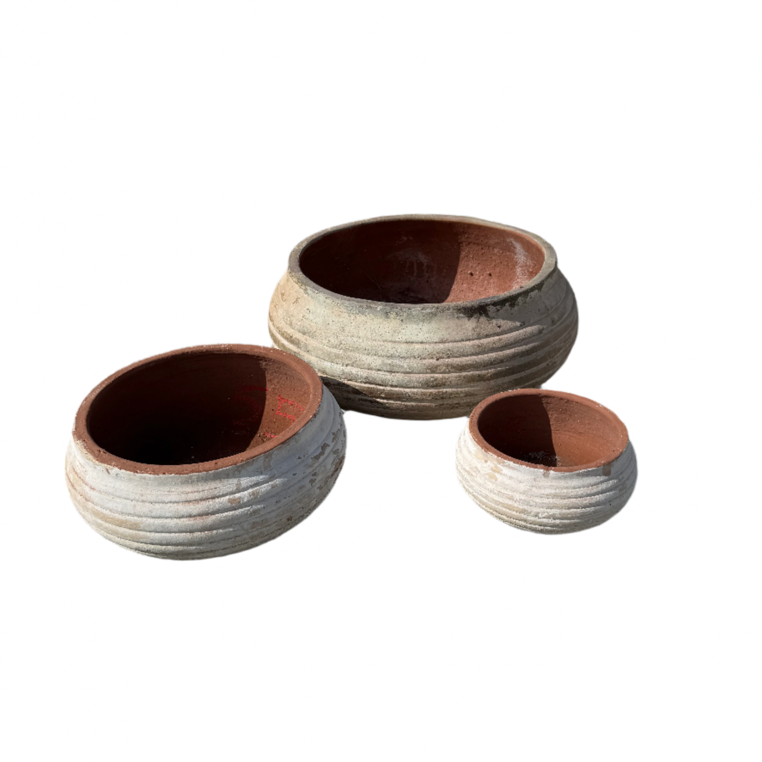 Ribbed Succulent Bowls S3 p