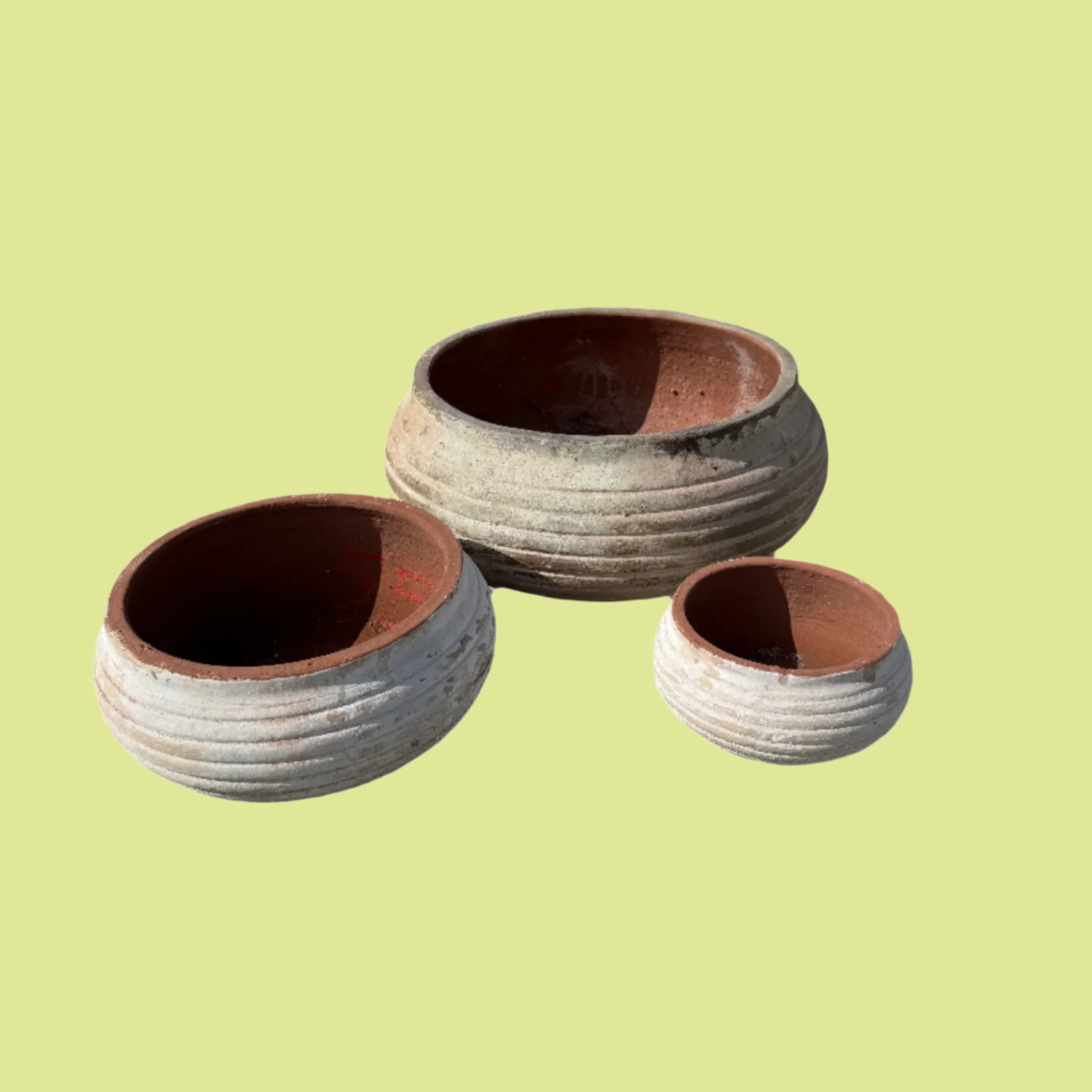 Ribbed Succulent Bowls S3 p